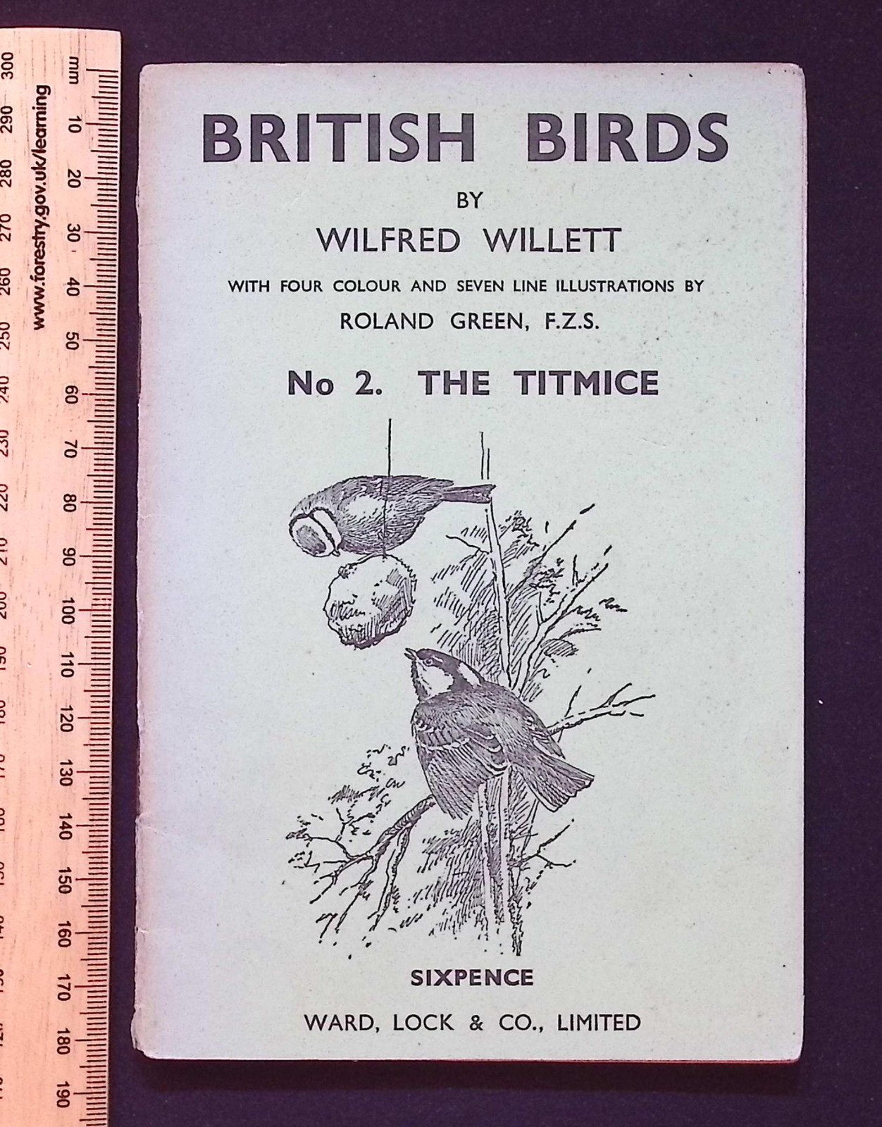British Birds by Wilfred Willett : No. 2 The Titmice, Ward, Lock & Co. PB