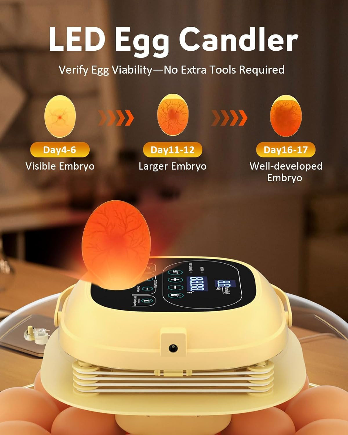 18 Egg Incubator for Hatching Eggs with Automatic Turning, Digital Temperature &