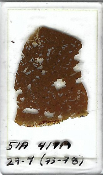 Thin-section Mount from DSDP Hole 417A Petrographic Microscope Slide 417A-29-4