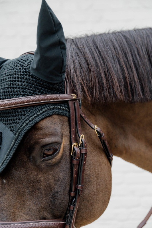 Dion Plaited Combo Bridle
