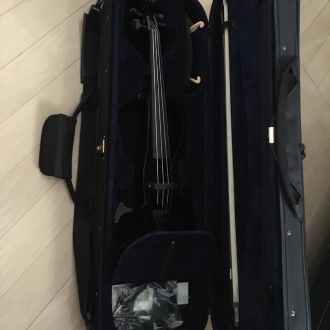electric violin