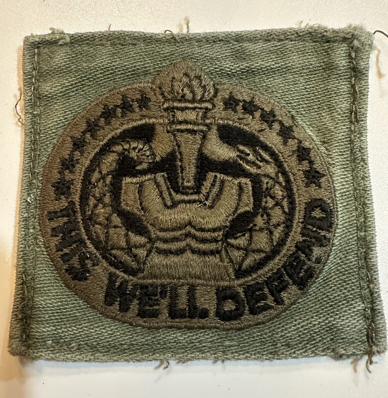 Drill Sergeant - US Army - Vietnam War - This We'll Defend - Vintage Patch (22D)