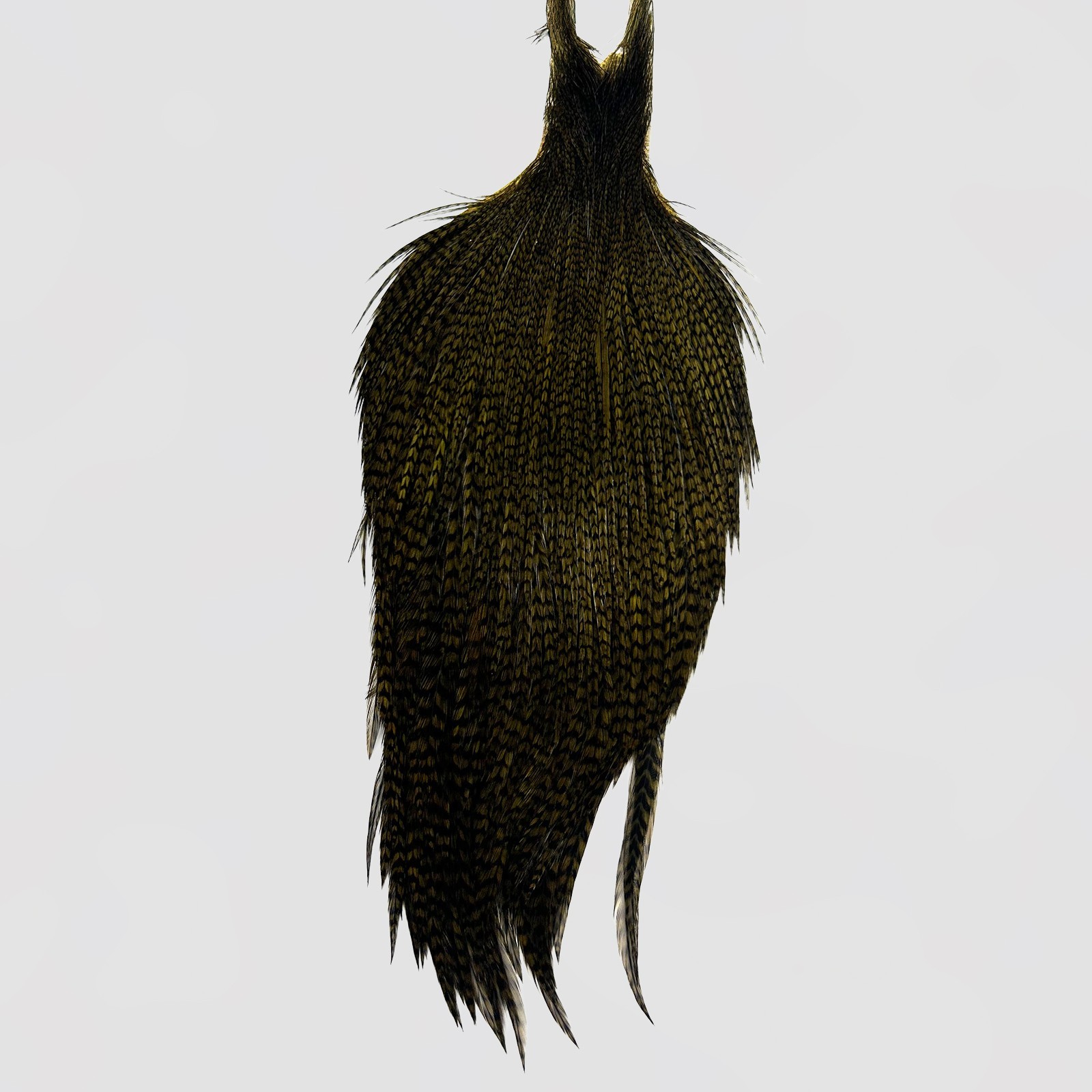 Whiting Bronze Rooster Cape-Grizzly/Olive-Fly Tying Hackle Feathers