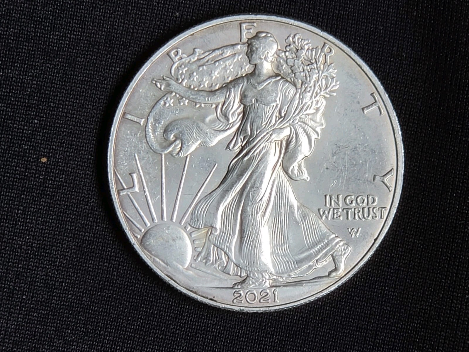 2021 Silver Eagle Type 2