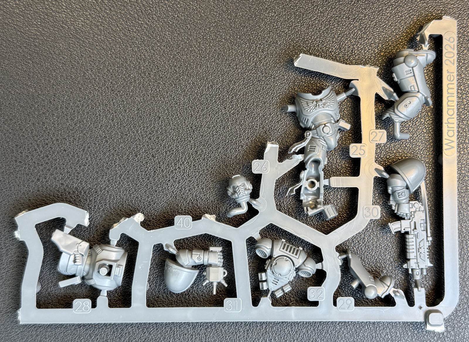 Intercessor C Auspex Space Marines Armageddon Warhammer 40k - NoS (x1)