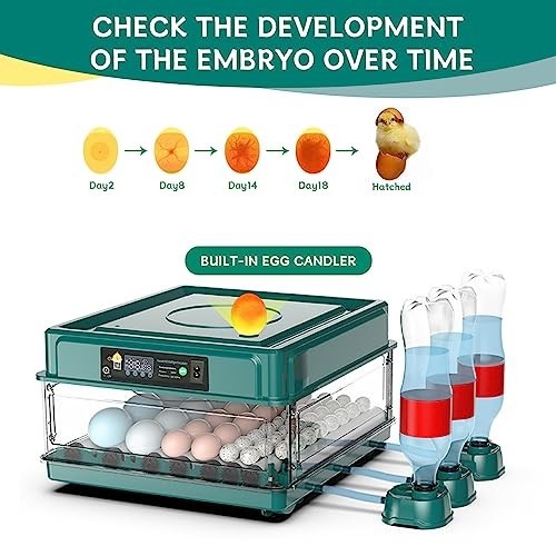 Incubators for Hatching Eggs, Egg Incubator with Automatic Egg Turning and Humid