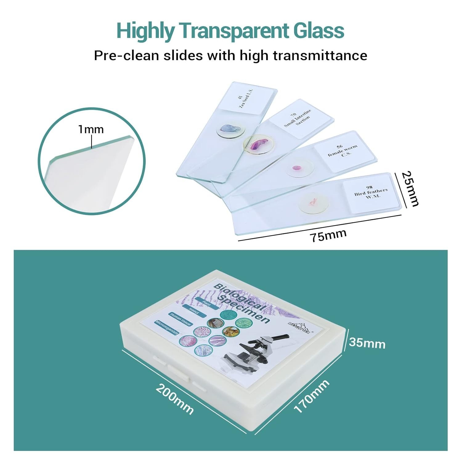 100 Microscope Slides with Specimens for Kids and Adults, Prepared Microscope...