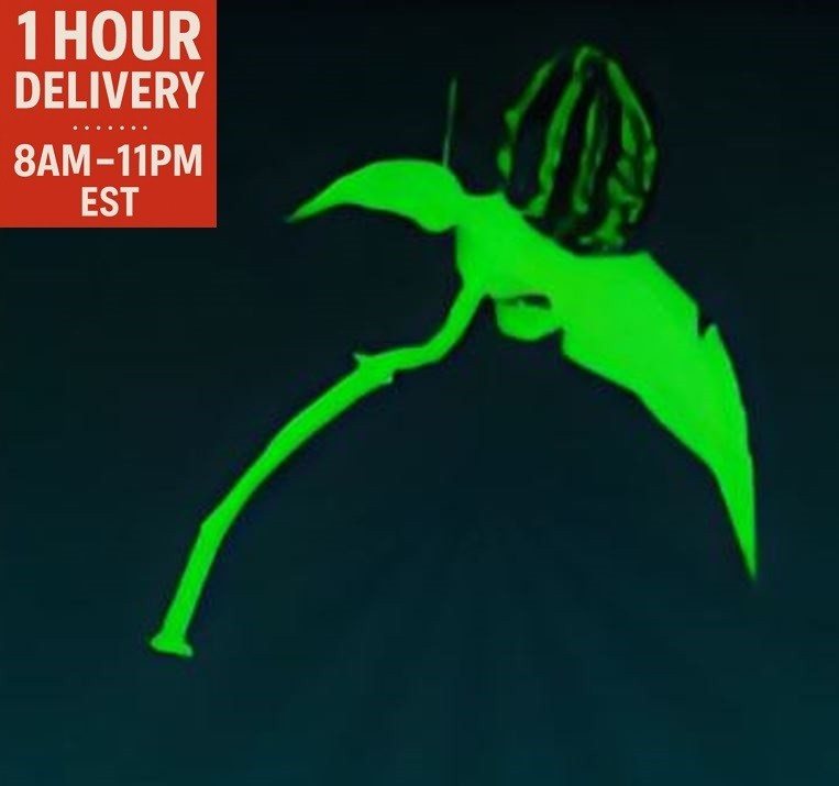 🔪 Survive the Killer 🔪 Poltergeist Scythe