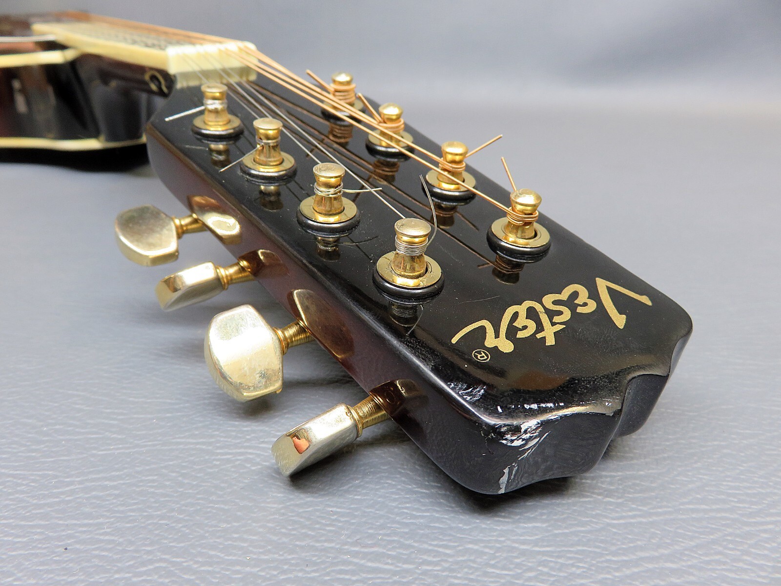 Mandolin Vester