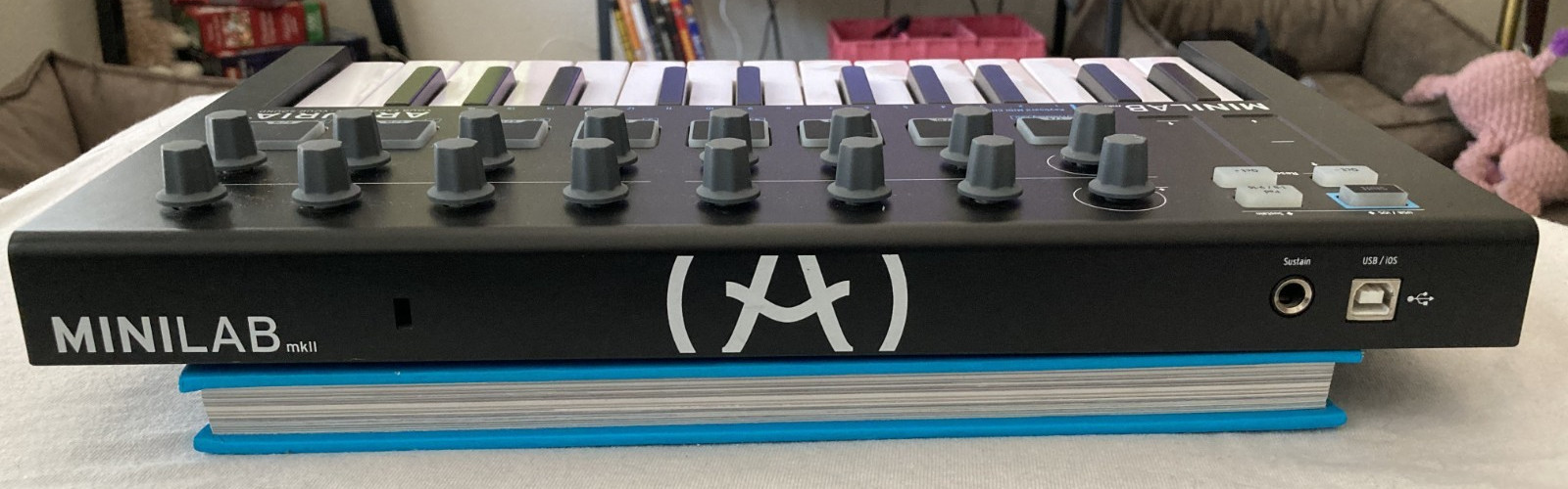 Arturia MiniLab MkII 25-Key USB MIDI Keyboard Controller - Tested/Working