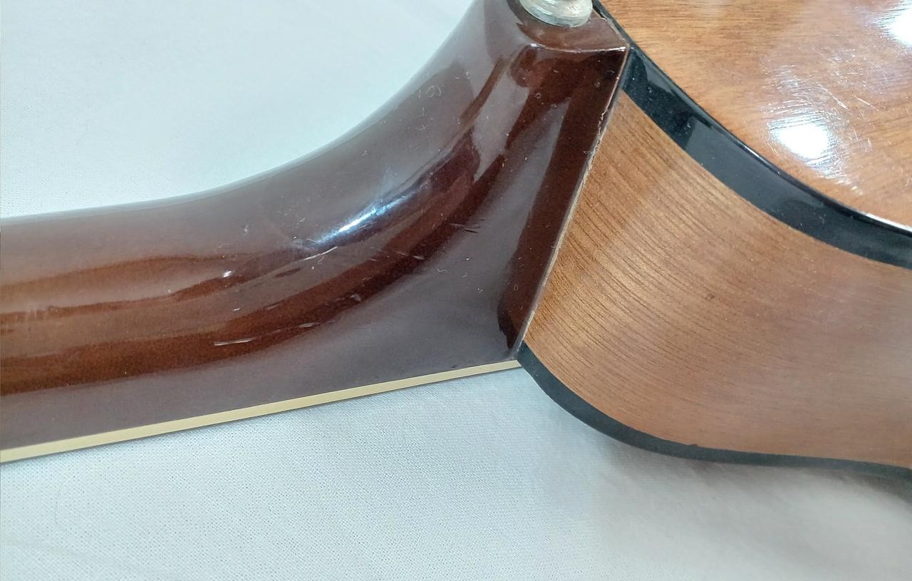 MORENA Flat Mandolin