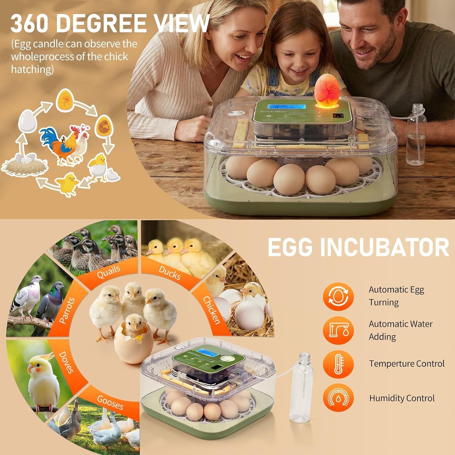 Incubators for Hatching Eggs, Egg Incubator with Automatic Egg Turning and Humid
