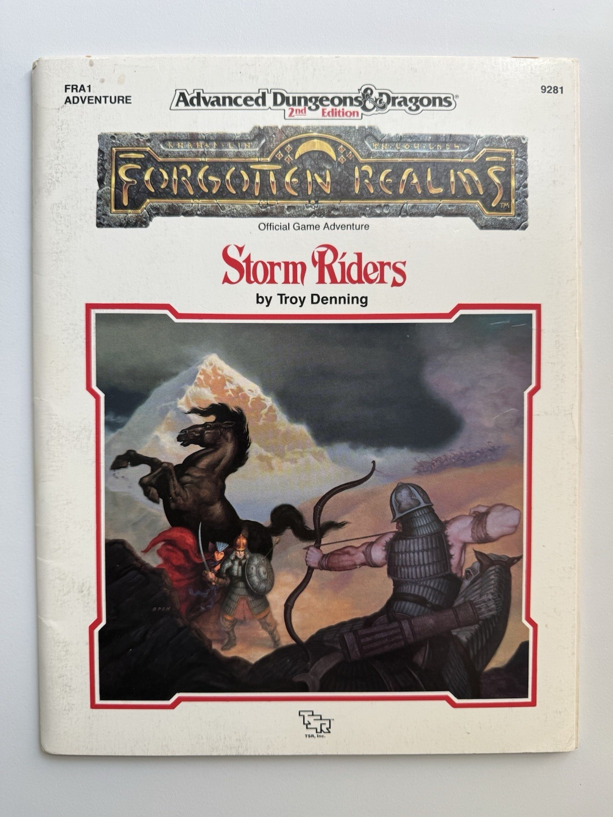 Advanced Dungeons & Dragons Forgotten Realms Storm Riders 9281