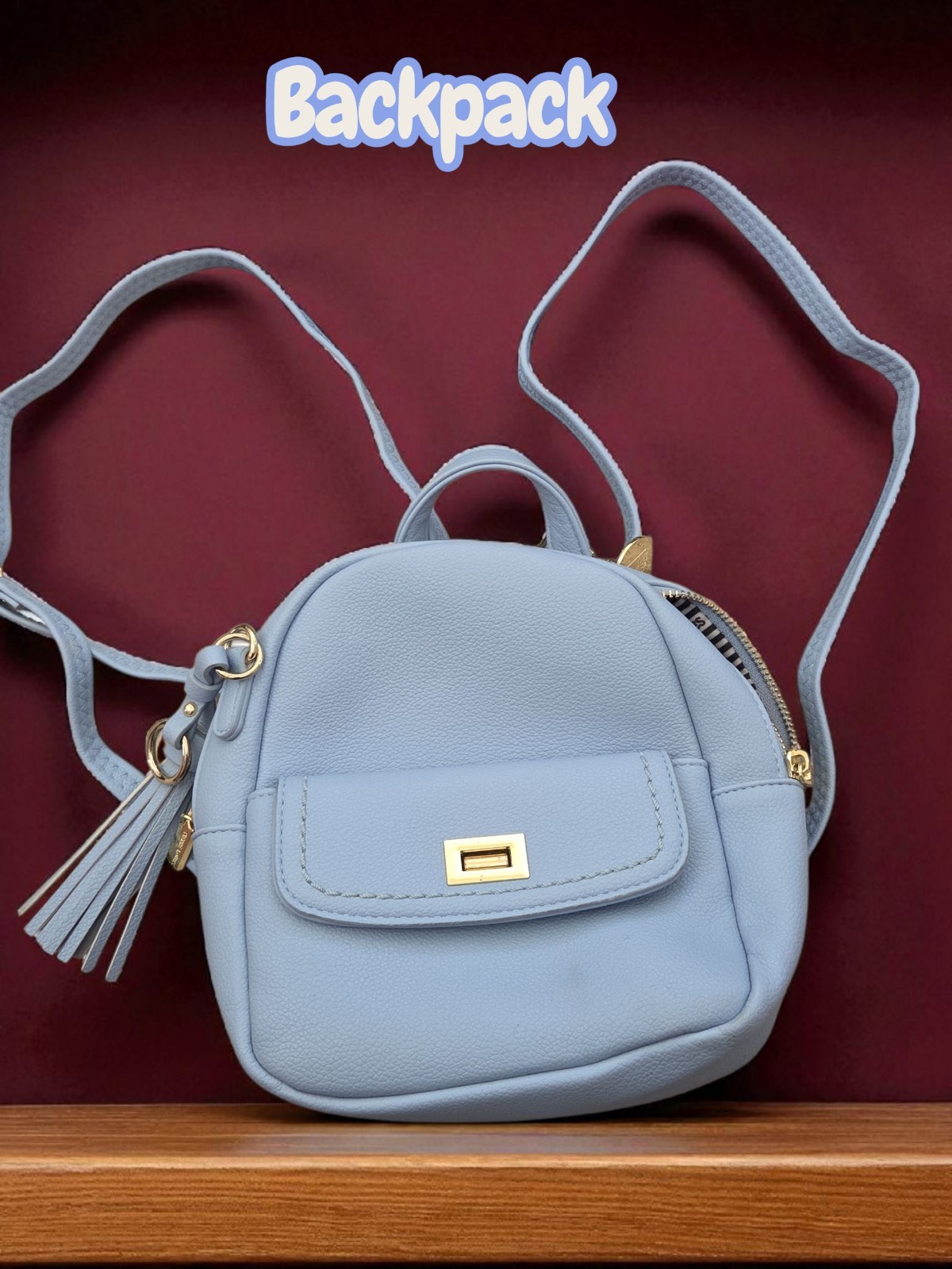 Never used PIERRE LOUES blue Backpack