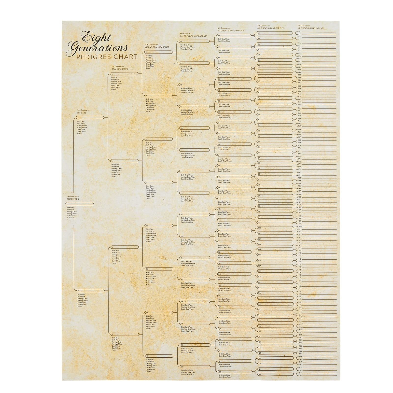 Okuna Outpost 15 Pack Family Tree Charts to Fill In-Blank 8 Generation