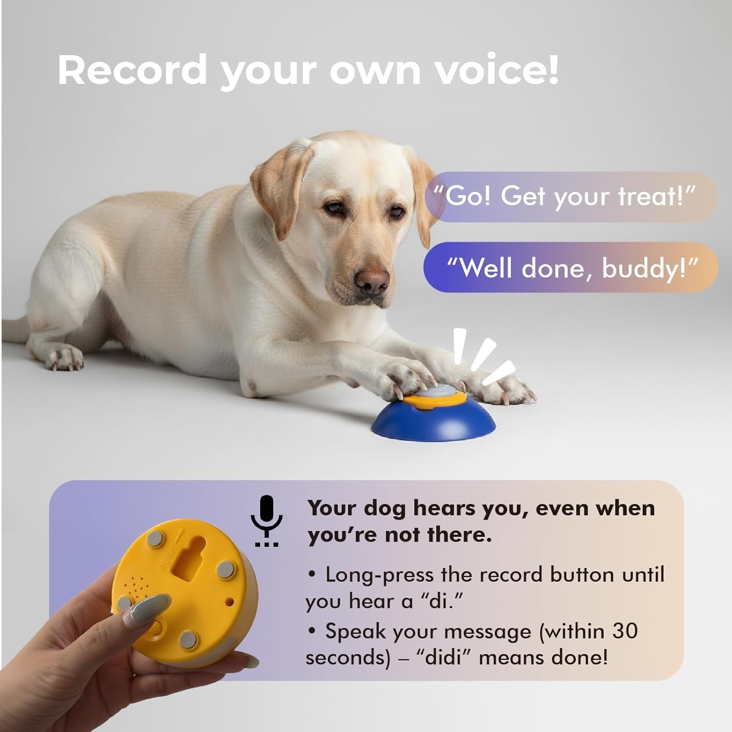 Interactive Dog Puzzle Feeder Toy Automatic Dogs Treat Dispenser IQ Training &