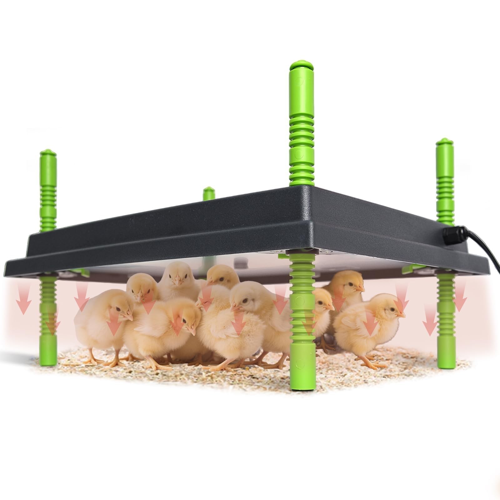 Shaledig Chick Brooder Heater Plate, 12"x16" Warmer Brooder Plate for Chicks