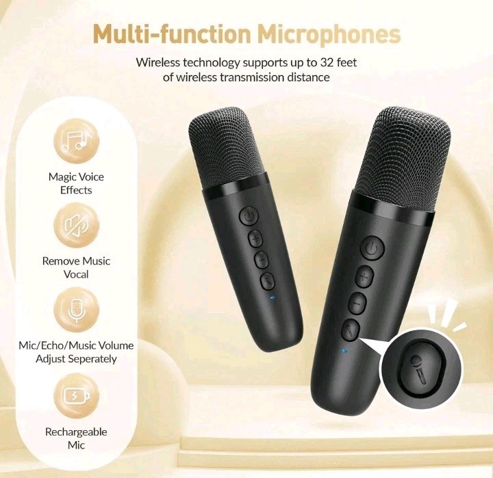 Mini Karaoke Machine, Portable Bluetooth Speaker 2 Mics, Black 2 Mics