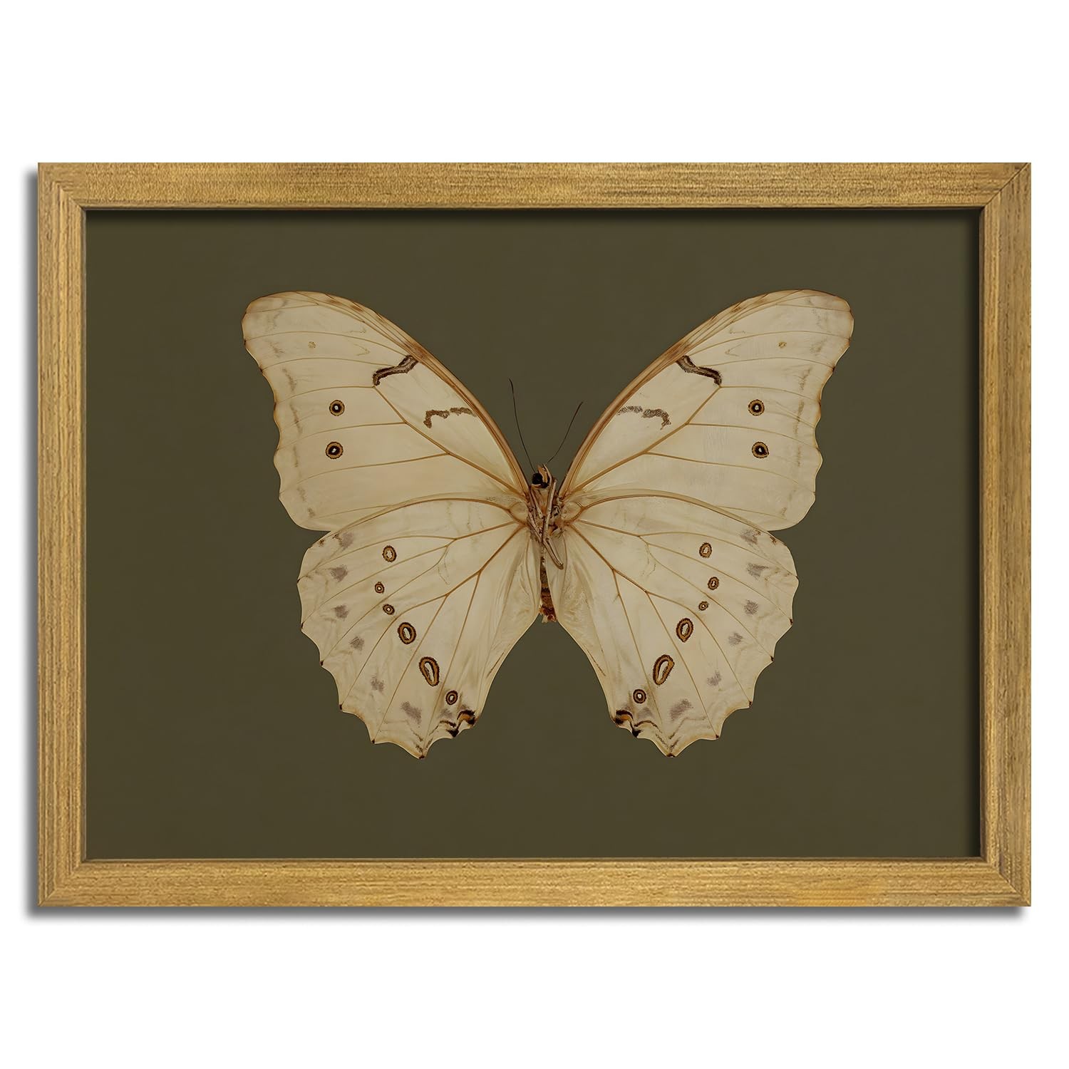 Wood Framed Butterfly Wall Art, Vintage 10"L x 8"W, Beige