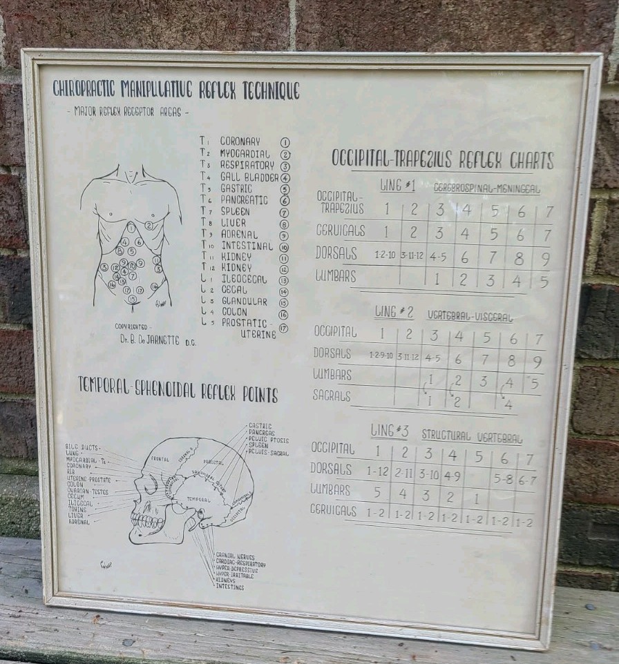Vintage Chiropractic Reflex Chart-Morbid Medical Poster Skull Art