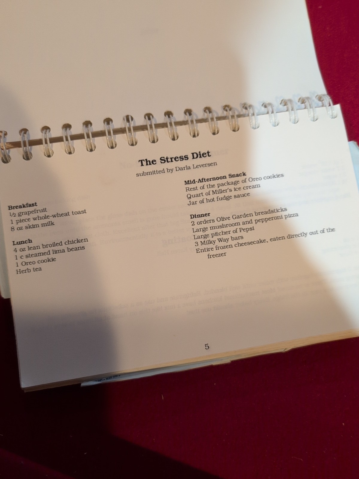 Vtg 1992 Cookbook By Early Computer Software Developer MSC With Floppy Disk Pic