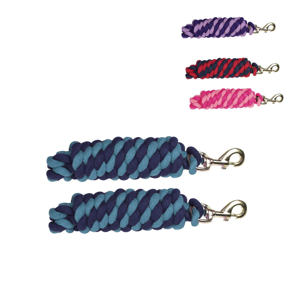 Derby Originals Lot of 2 Striped Multicolor 10' Cotton Lead Ropes