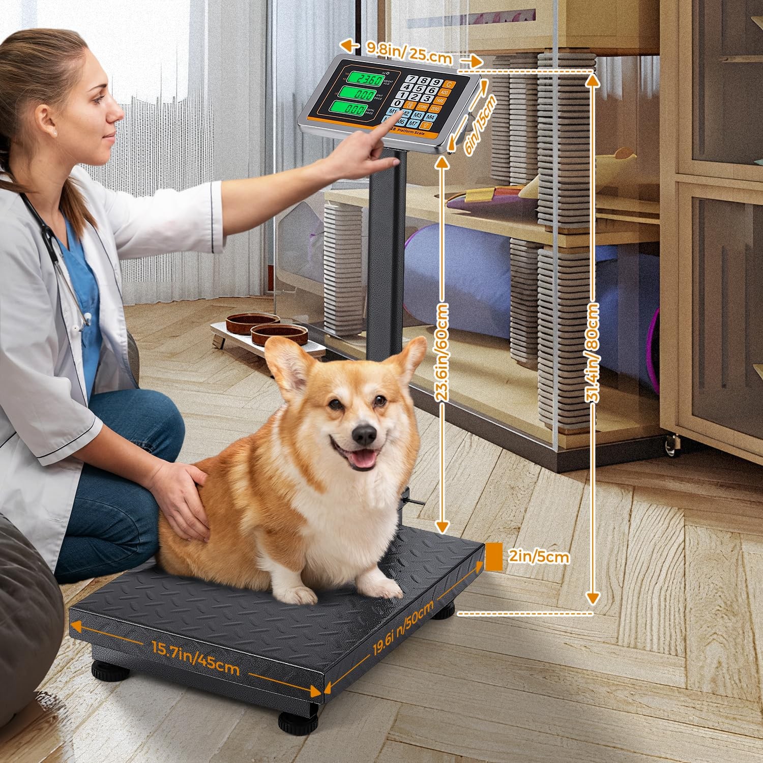 Postal Scale Digital Price Computing Foldable Industrial Steel Platform 660 lbs