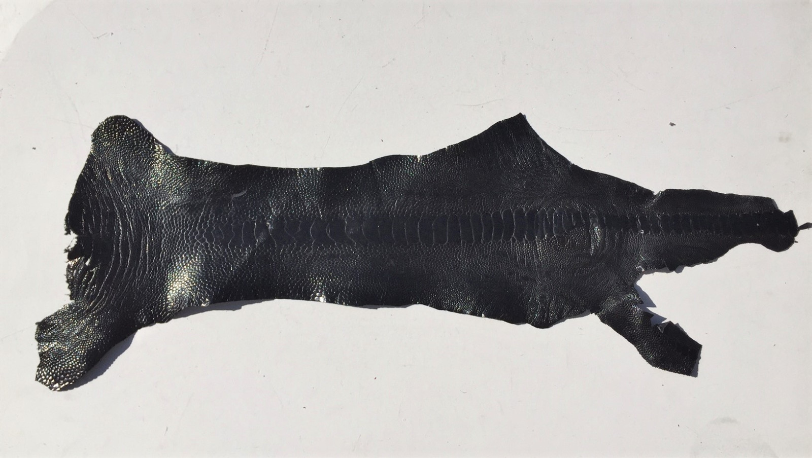 Black Ostrich Leg skin