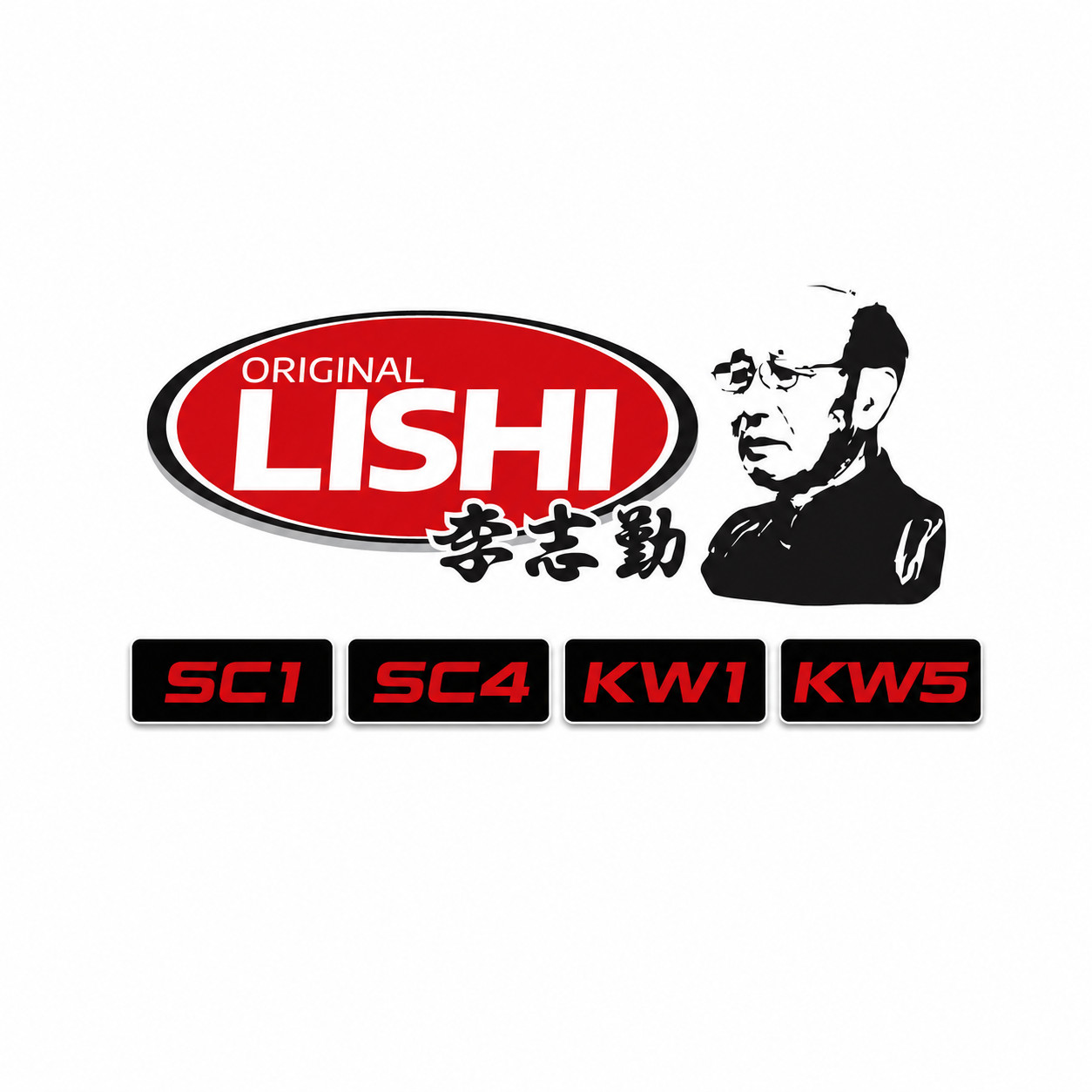 Lishi 2-in-1 Tool SET of 4