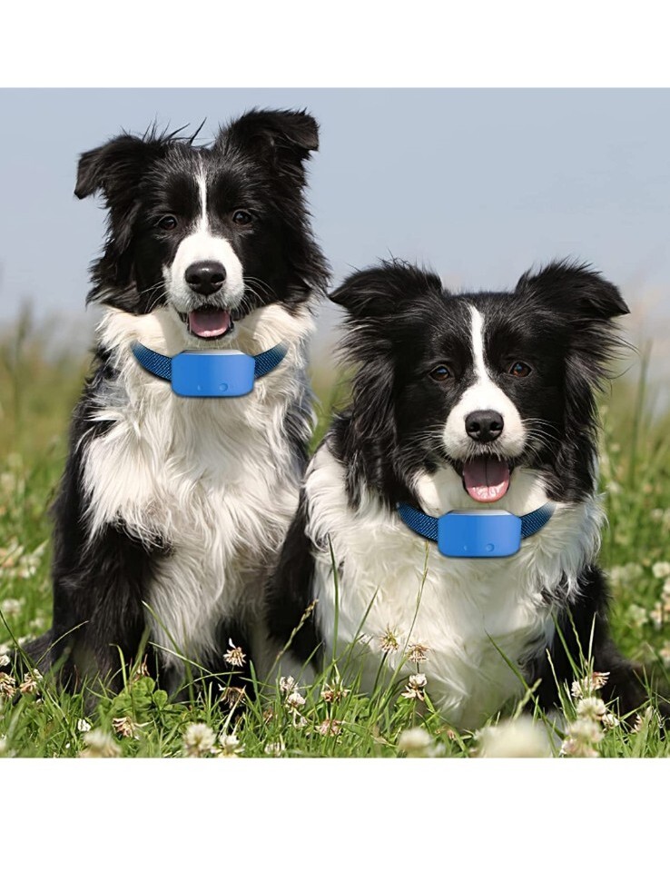 Rechargeable Dog Bark Collar Adjust. Sensitivity Beep, Vibration, Optional Shock