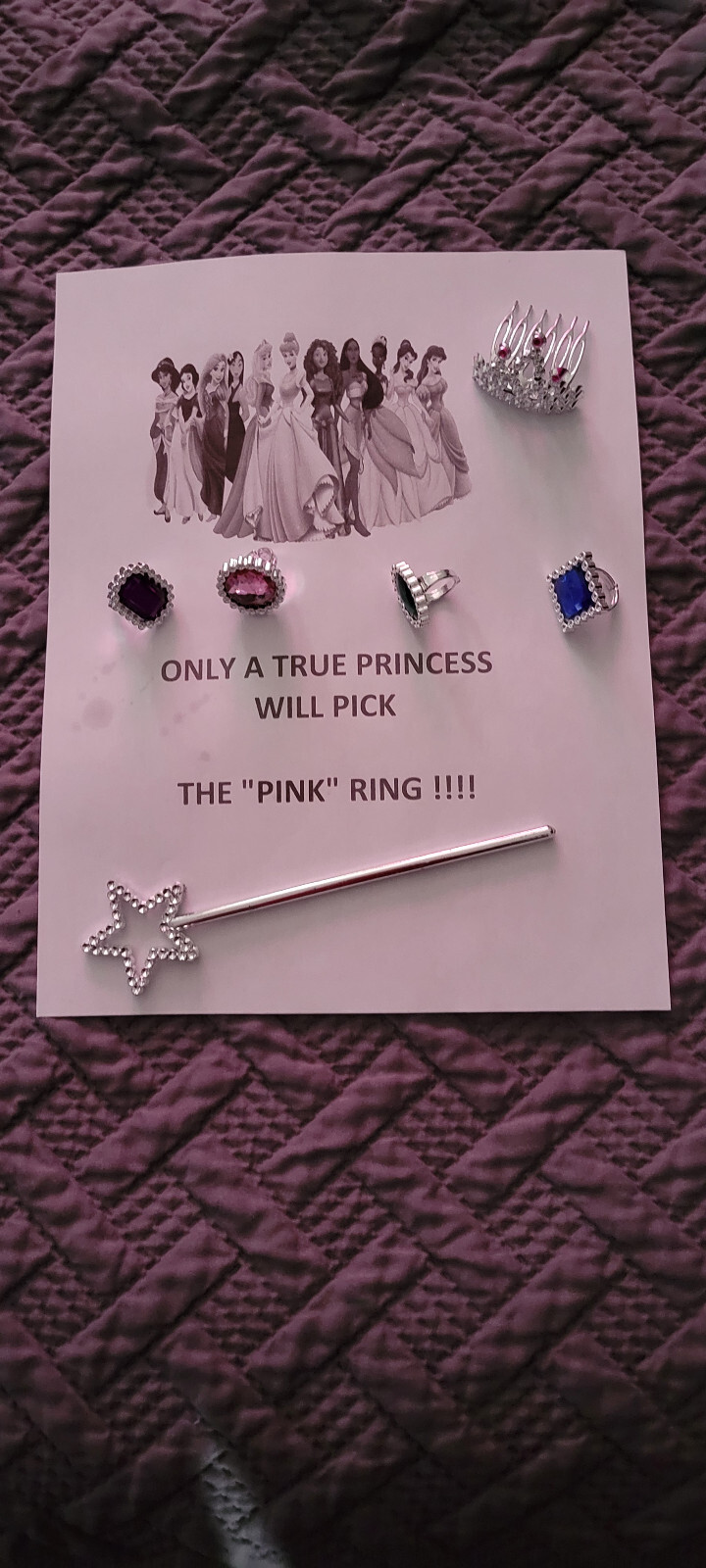 "The Princess Test" - S. Patrick