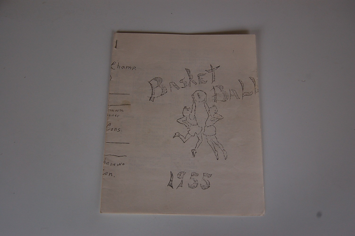Nice 1955 Wisconsin High School Tournament Program - Tigerton, Bear Creek etc