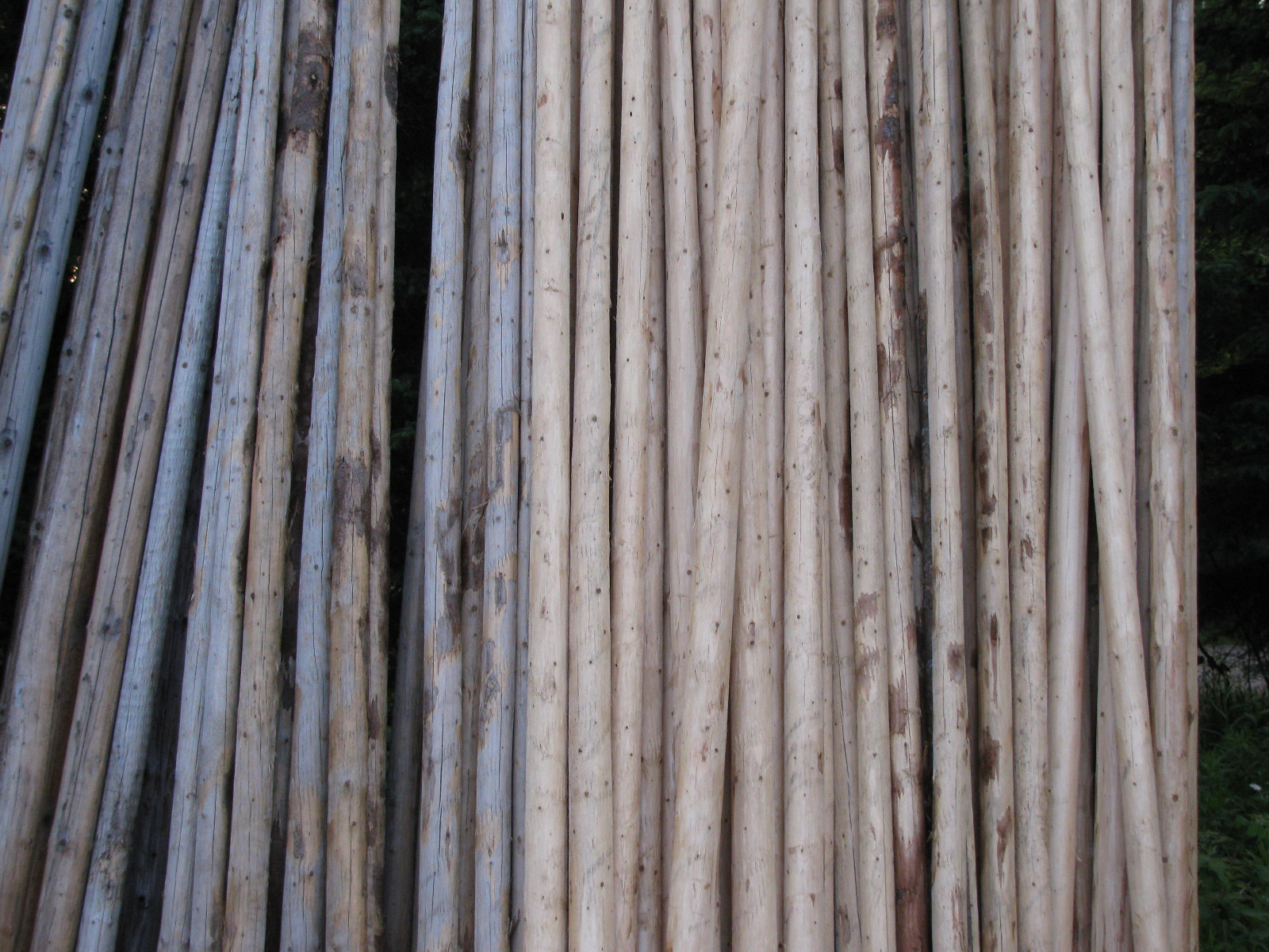 Hand Crafted Tipi Poles Teepee Poles Tepe Poles