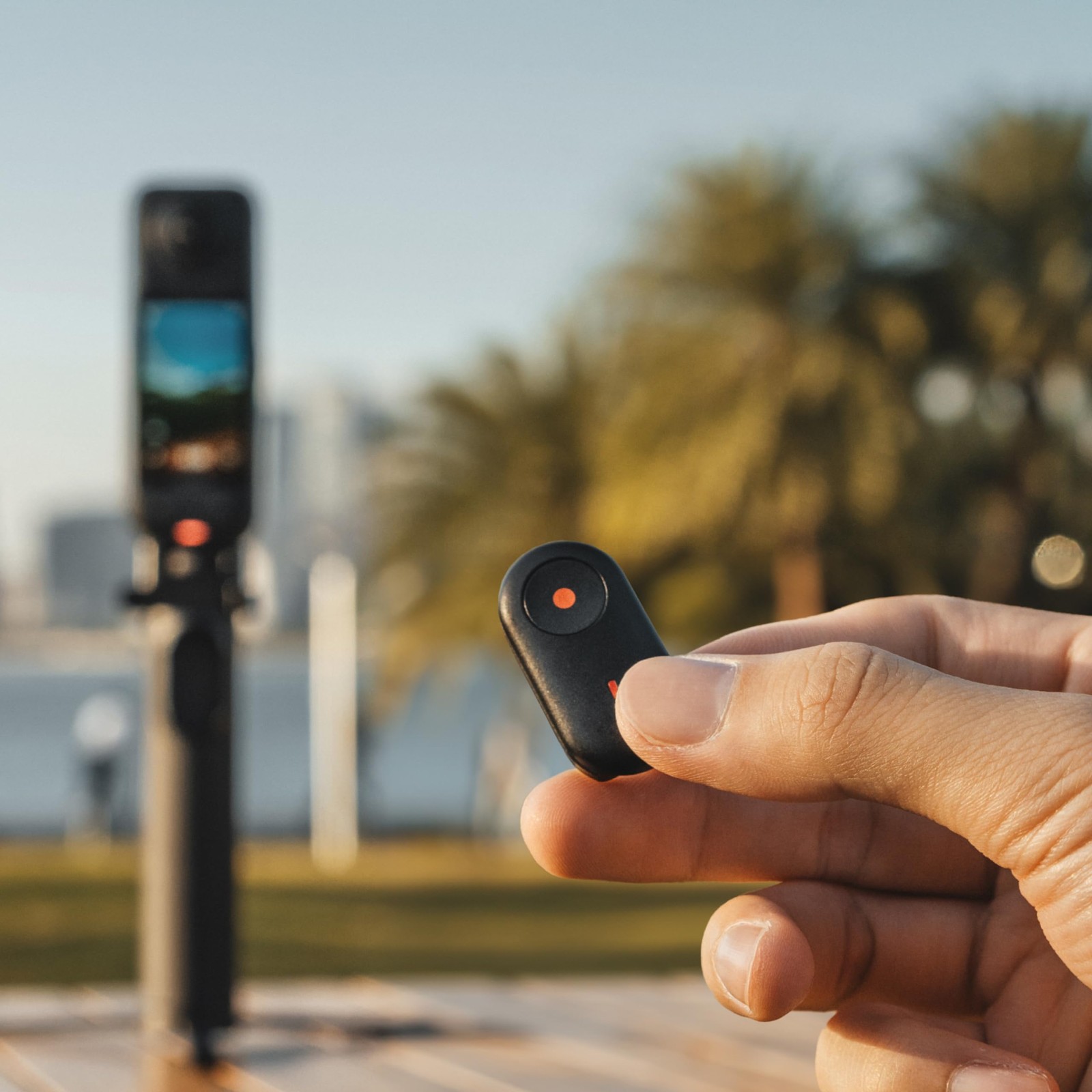Mini Remote