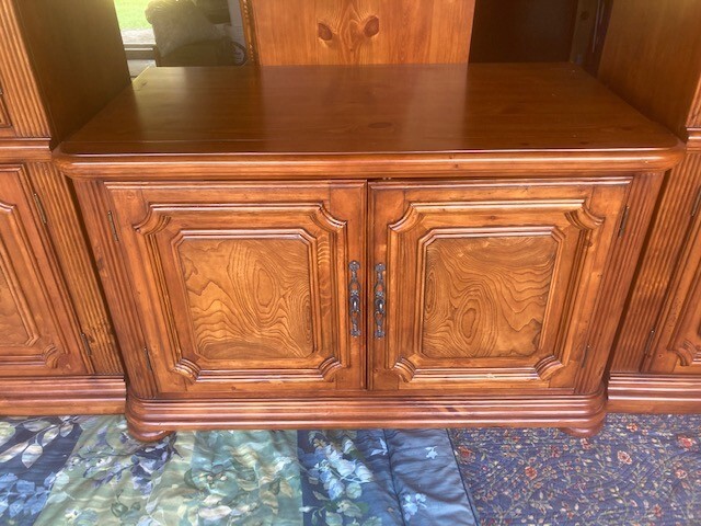 Entertainment wall unit or dining room display case and cabinet