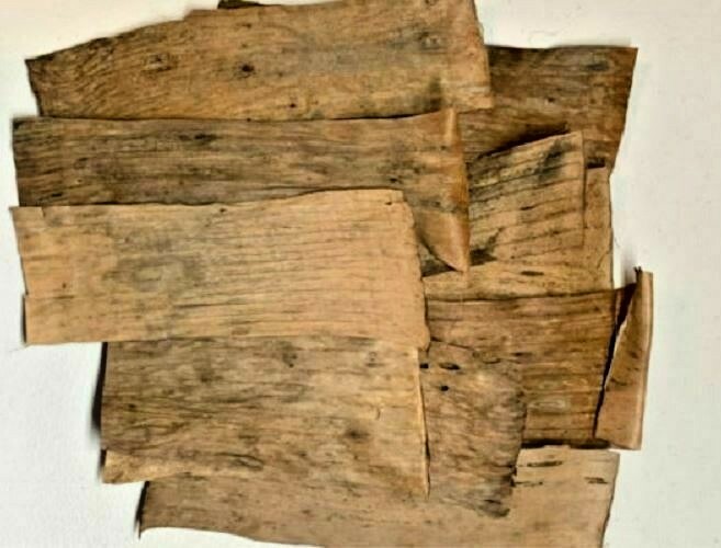 Dried Banana Leaves Organic Ceylon Pet Supplies Care Fish Aquariums Free
