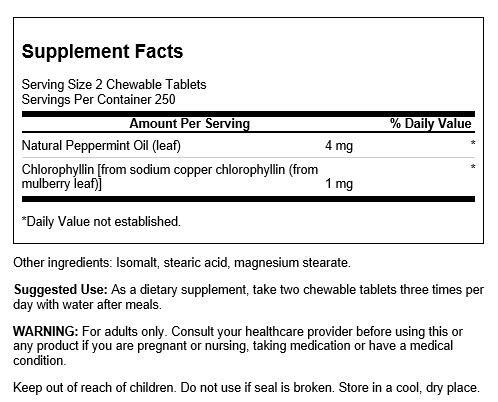 Swanson Chlorophyllin and Mint 500 Chewable Tablets