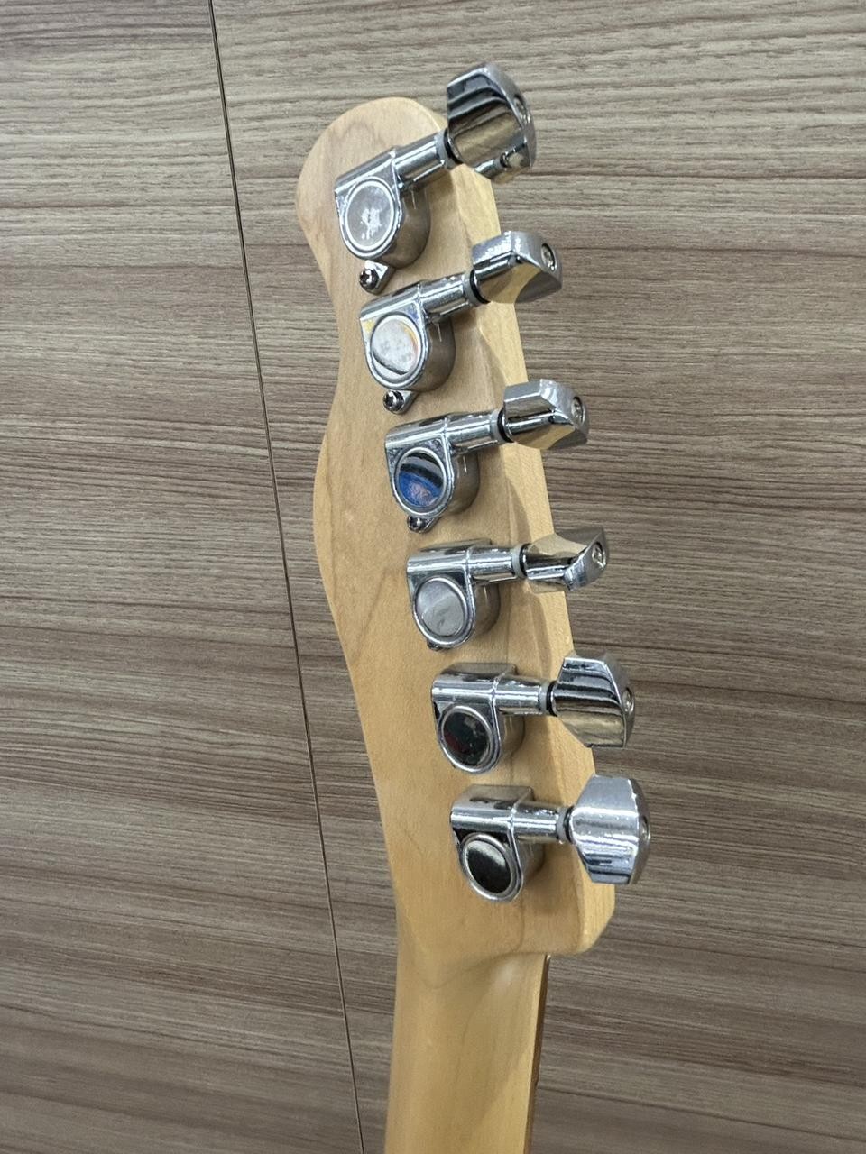 BACCHUS UNIVERSE SERIES Telecaster Universal