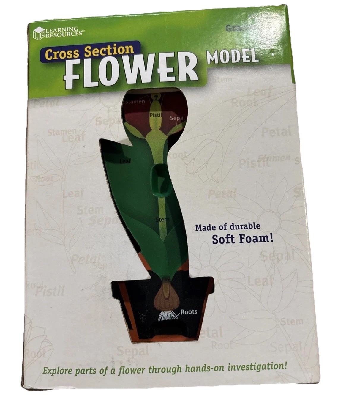 Cross-Section Flower Model Soft Foam Item # LER1905 NIB