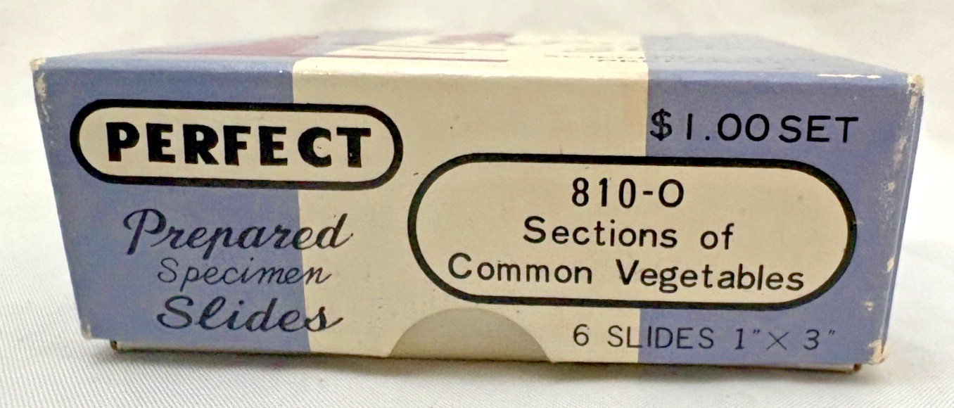 Vintage - PERFECT - Prepared Specimen Slides - Microscope - Sections Vegetables