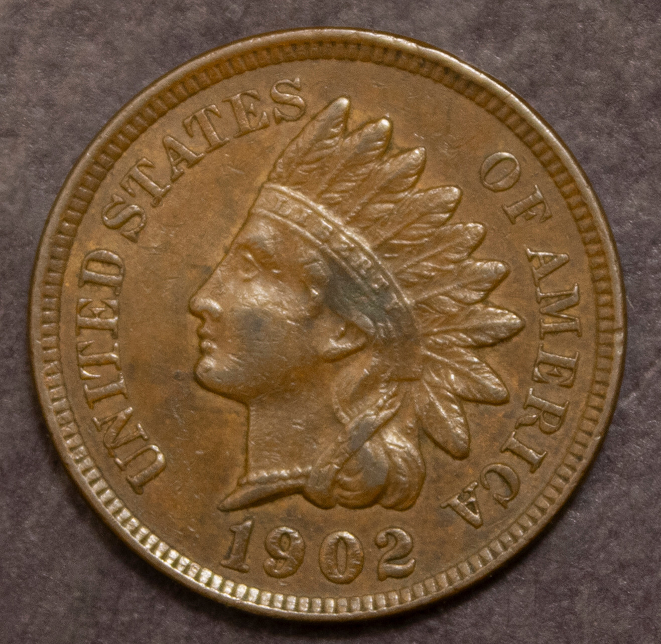 1902 Indian Cent Choice XF Obverse Spot Lot  F 482