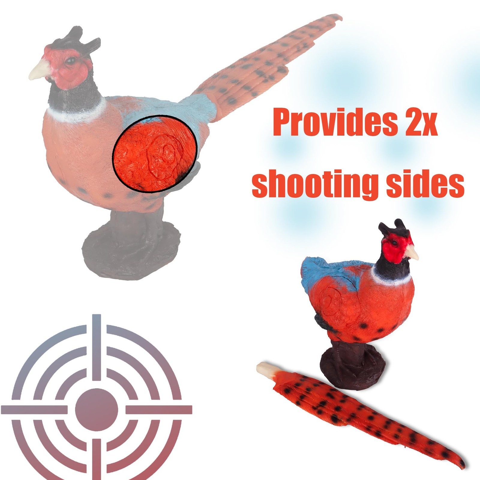 3D Pheasant Archery Target with TwoSided Shooting Range for Bow Training