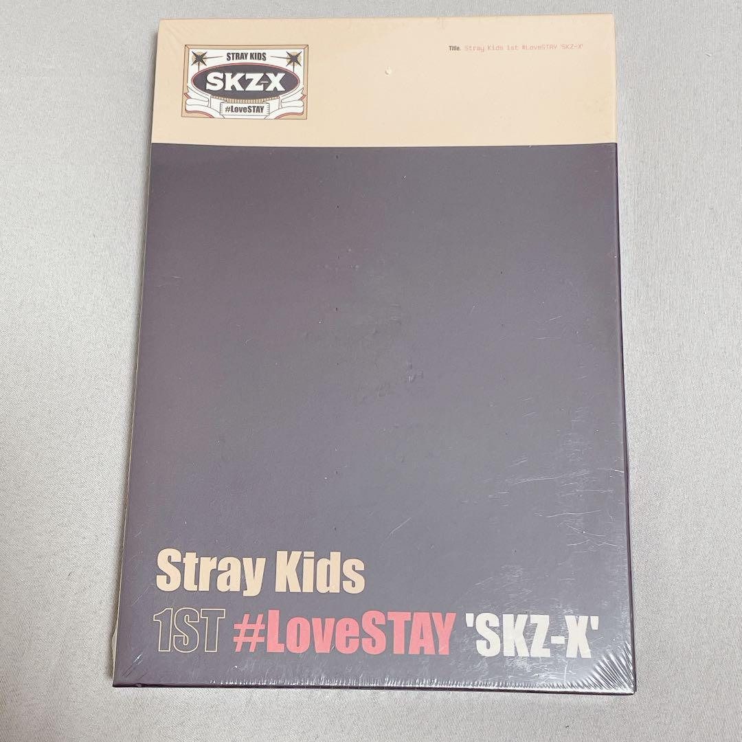 Stray Kids Skzoo 1st LoveSTAY SKZ-X Photobook Photo Book Full Set 2024