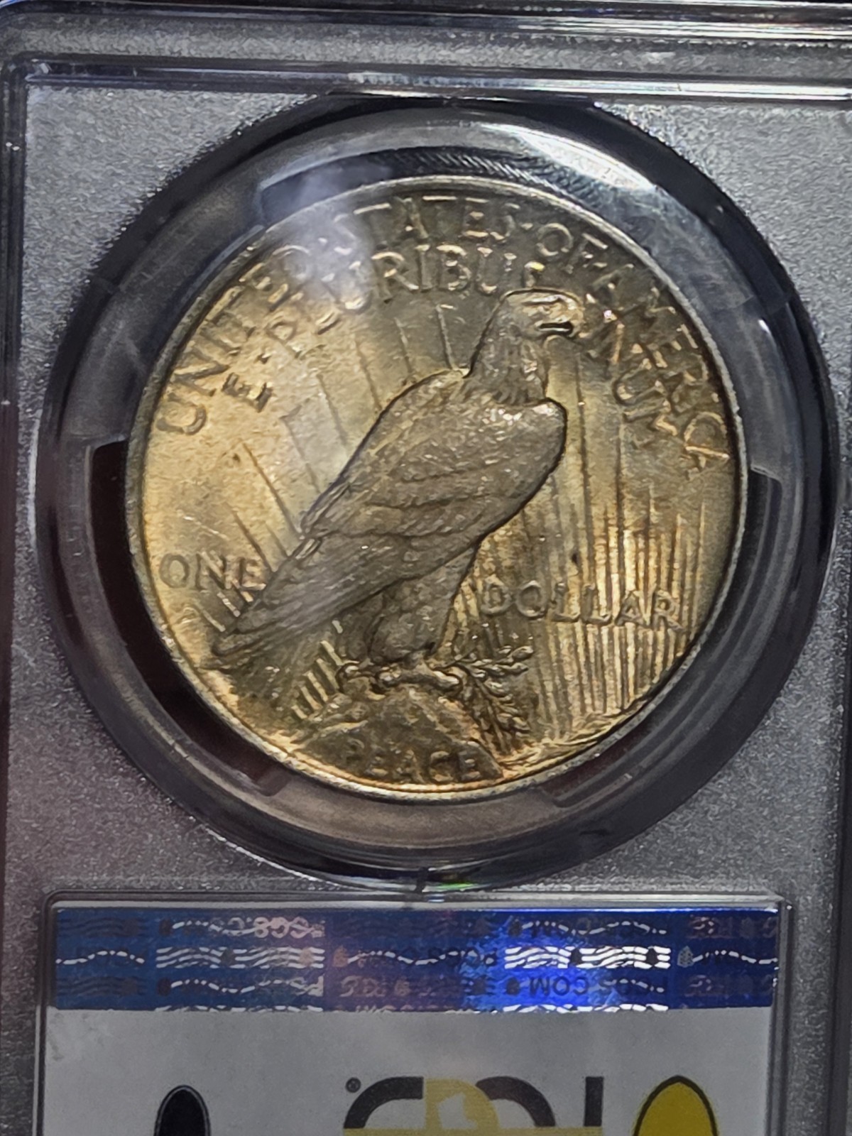 1922 $1 Peace Dollar PCGS MS63 Toned
