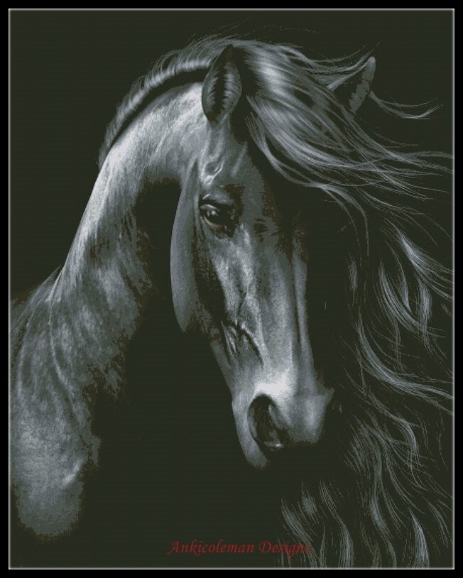The Black Horse - Counted Cross Stitch Patterns - Color & BW Symbols