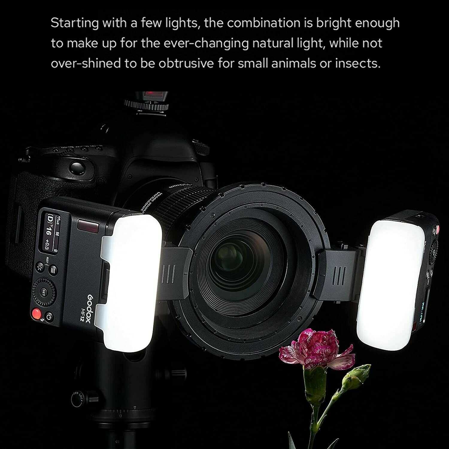 Godox MF12-K2 Macro Flash Speedlight 2.4G Wireless + XPro-N Trigger for Nikon
