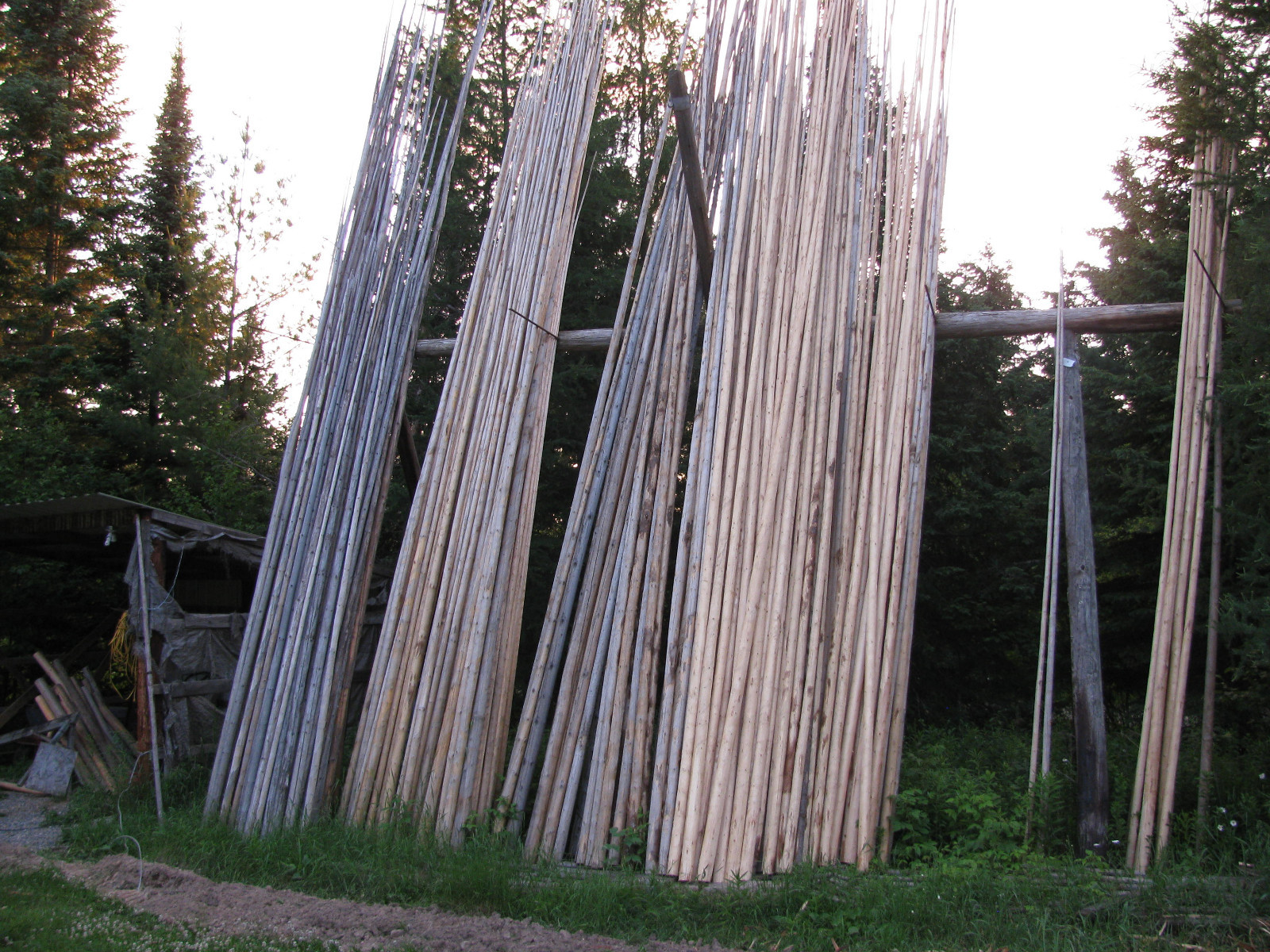 Hand Crafted Tipi Poles  Teepee Poles  Tepe Poles