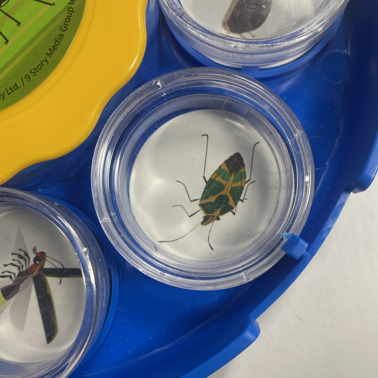 All Images Bug Viewing Kit By Kratt Brothers Ltd.