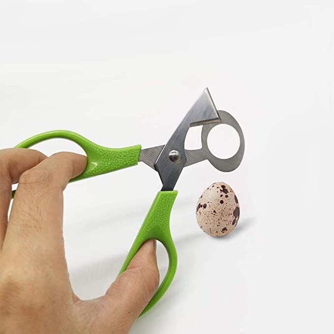 Stainless Steel Quail Egg Scissors (25 PCS) - FREE n FAST SHIPPING - USA SELLER