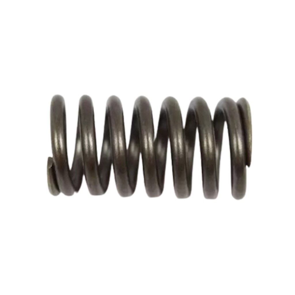 OEM Mopar For Dodge Ram 1500/Ram 2500 2003-2010 Accumulator Spring Outer/Inner